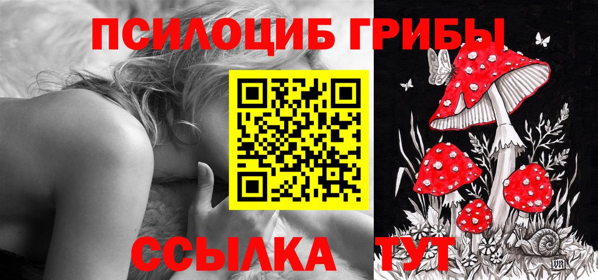 где купить   Псилоцибиновые грибы ЛСД  Псилоцибиновые грибы Psilocybine cubensis  Вход с VPN  Мариинск 